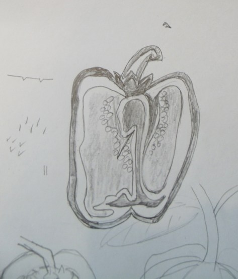 GEDSC DIGITAL CAMERA